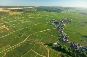 Vosne-Romanée focuses on biodiversity in its vineyards