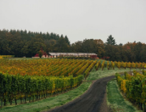 New Oregon wine appellation ‘Mount Pisgah’ is created